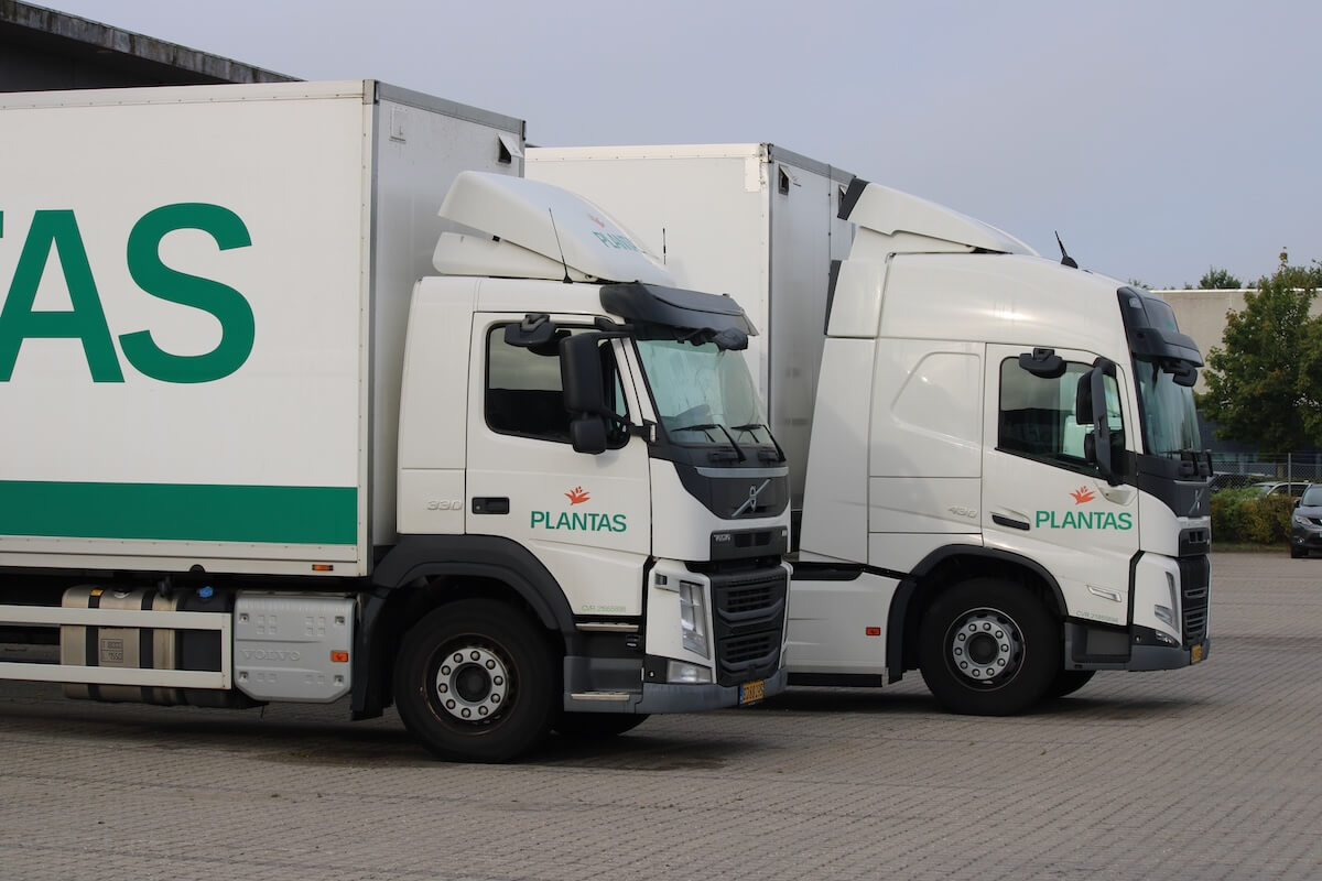 Industri køl plantas