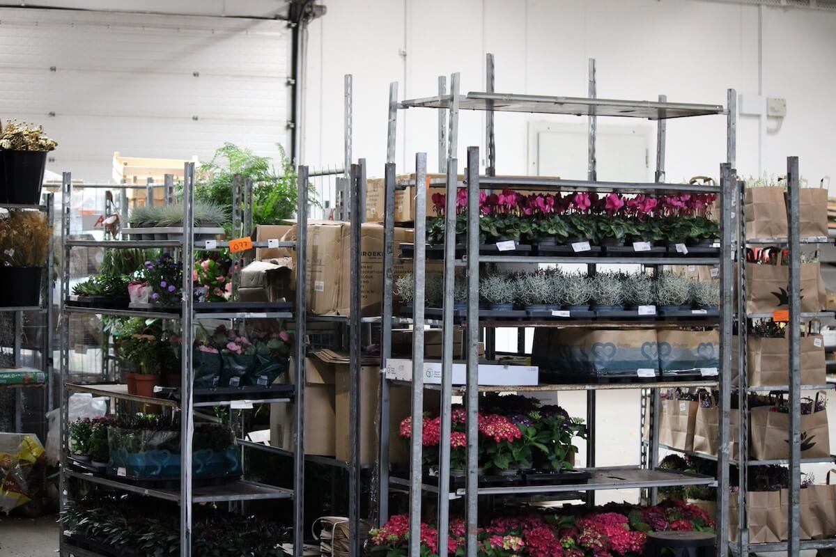 Findan mange blomster i kølerum